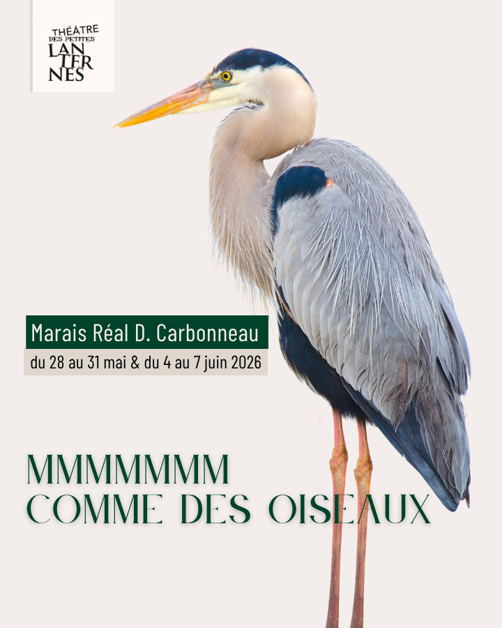 Affiche théâtre MMMMMMM comme des oiseaux. Spectacle du 28 au 31 mai et du 4 au 7 juin 2026