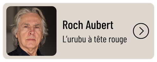 Roch Aubert - l'urubu à tête rouge