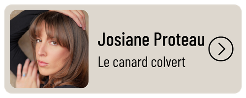 Josiane Proteau - le canard colvert