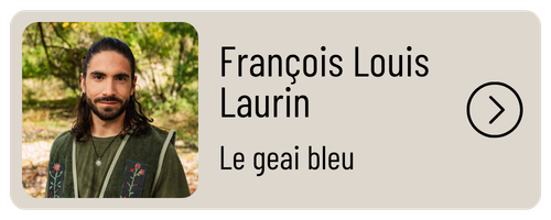 François Louis Laurin - le gaie bleu
