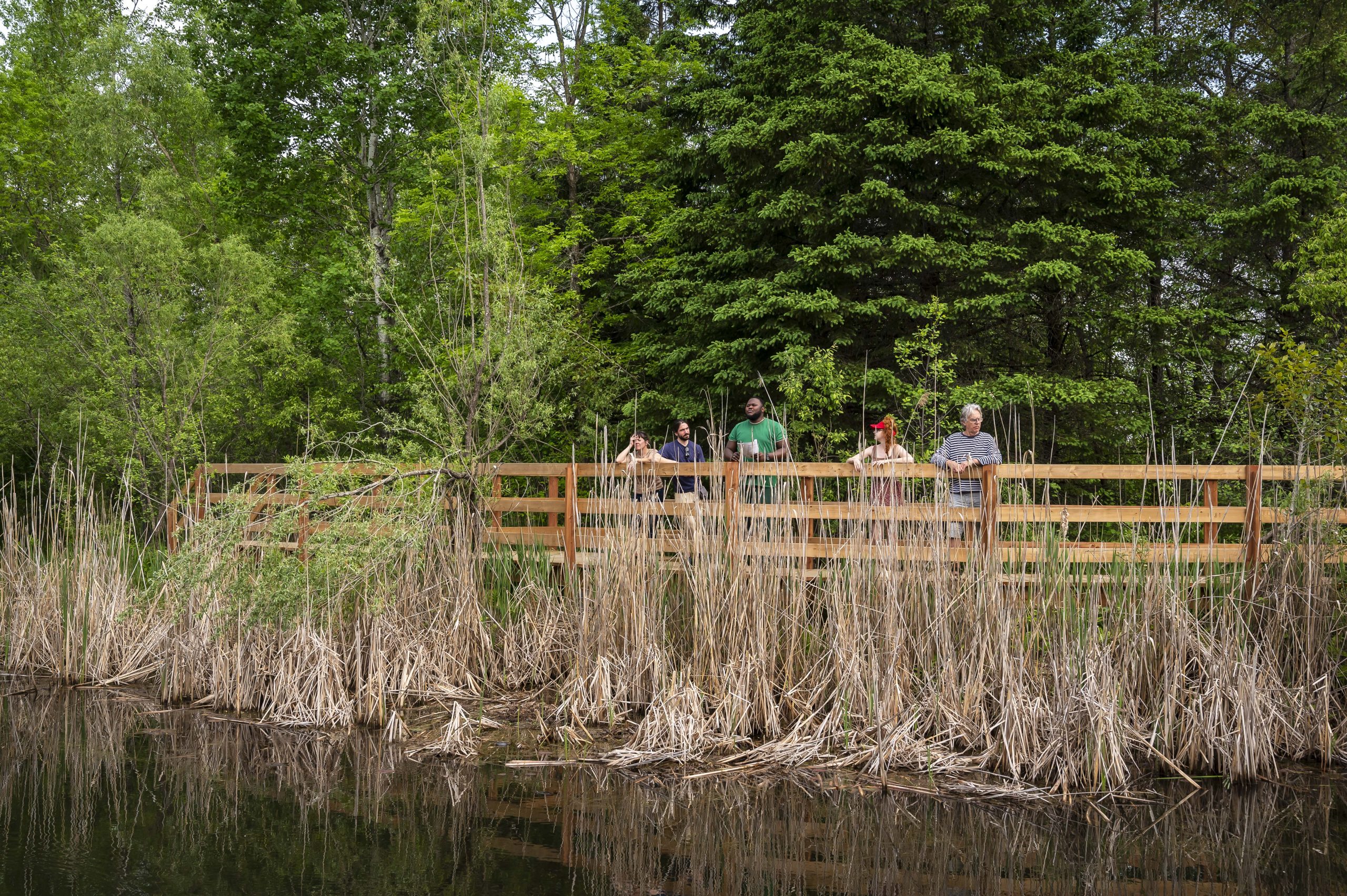 MMMMMMM comme des oiseaux