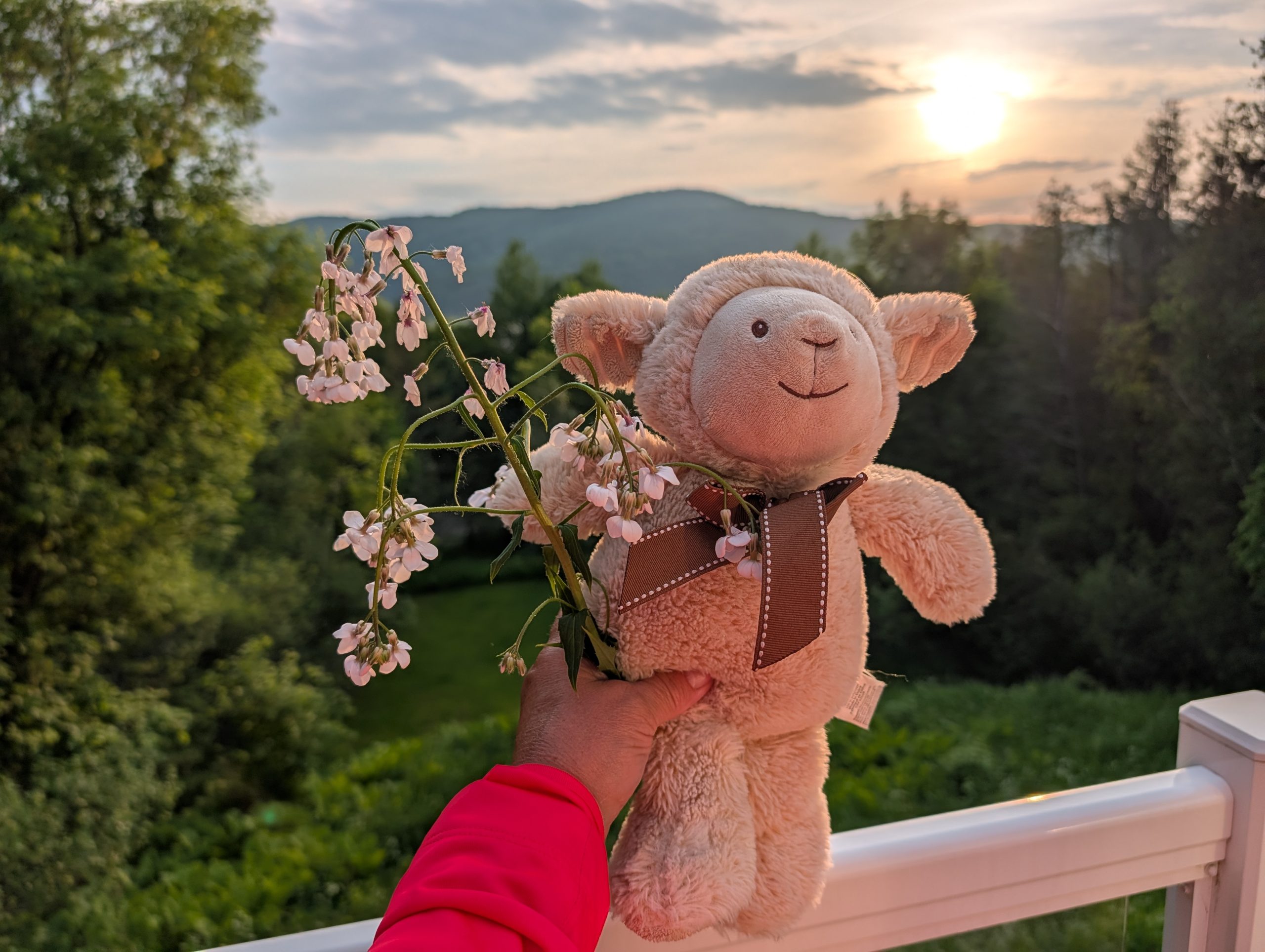 peluche tenant une fleur
